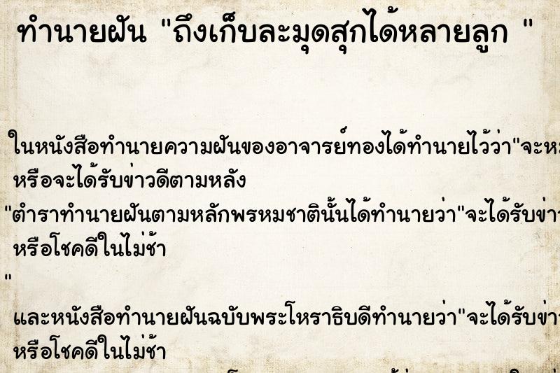 ทำนายฝัน ถึงเก็บละมุดสุกได้หลายลูก 
